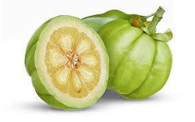 cos'è la garcinia cambogia pianta frutto