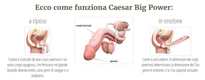 Caesar Big Power gel XXL funziona Caesar Big Power gel XXL funziona